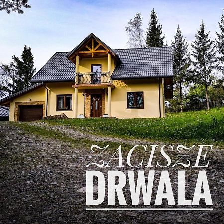 Zacisze Drwala Pensionat Lutowiska Exteriör bild